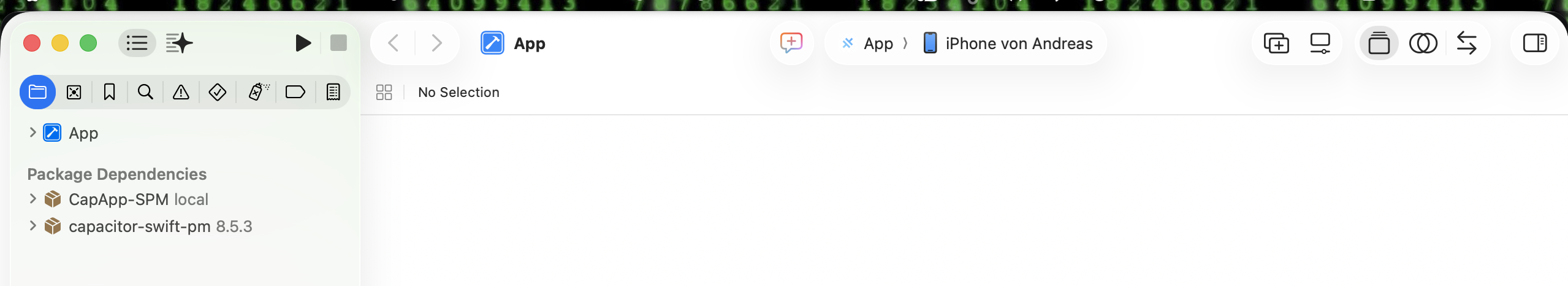 Das Projekt in XCode.